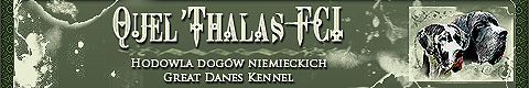 Great Danes Kennel Quel'Thalas FCI
